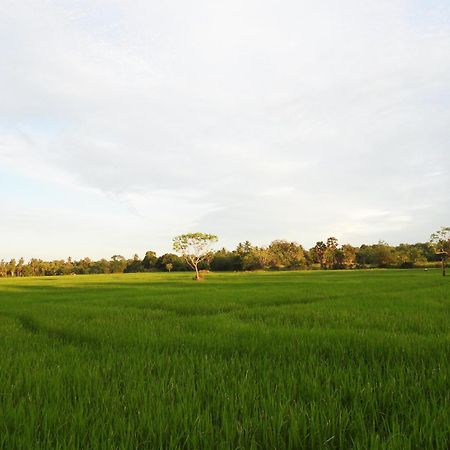 Green Sapphire Holiday Resort Wilpaththu Wilpattu Buitenkant foto
