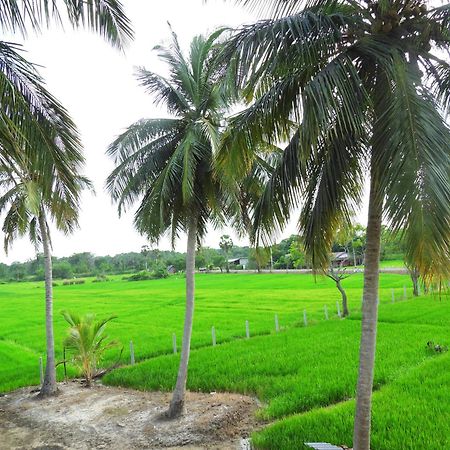 Green Sapphire Holiday Resort Wilpaththu Wilpattu Buitenkant foto
