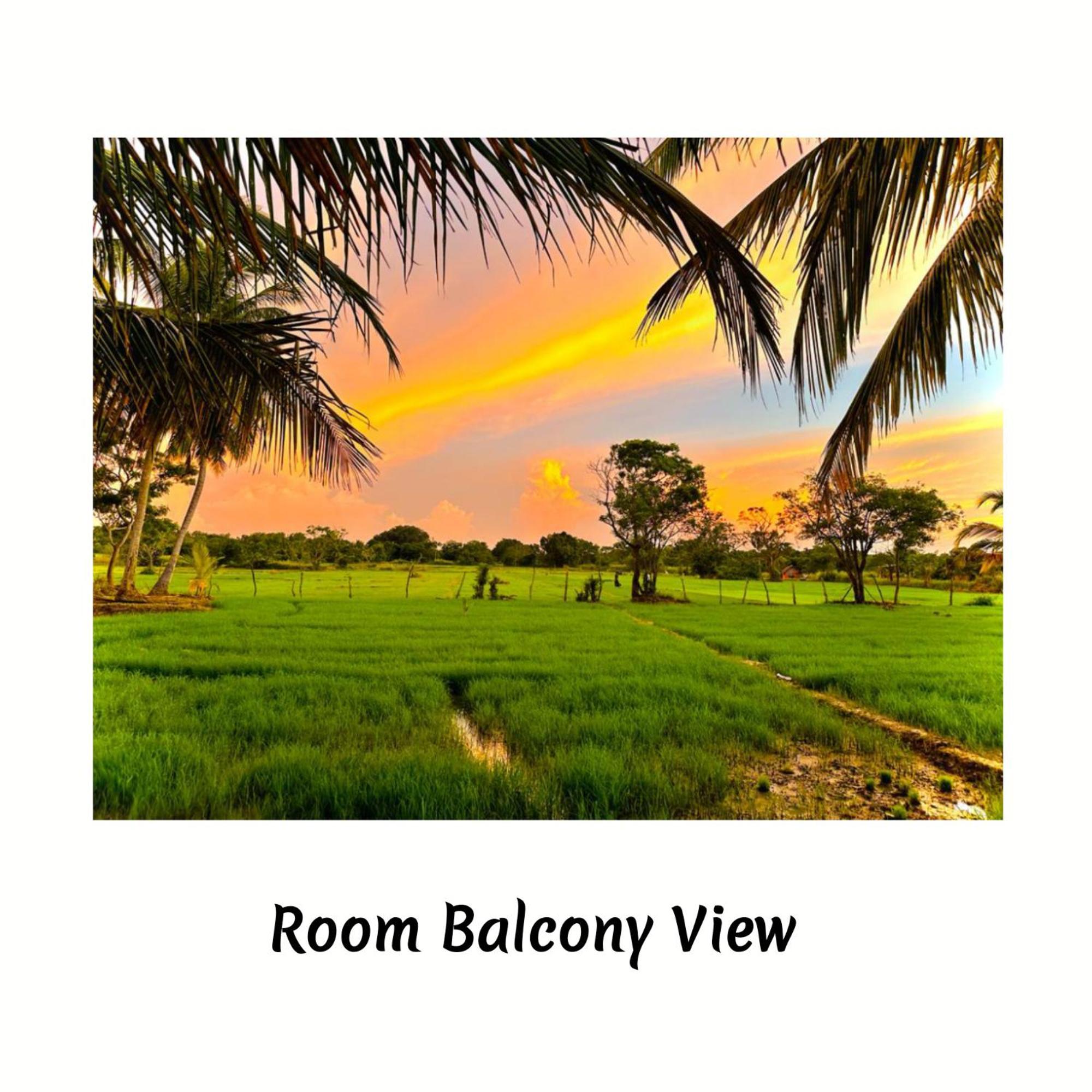 Green Sapphire Holiday Resort Wilpaththu Wilpattu Buitenkant foto