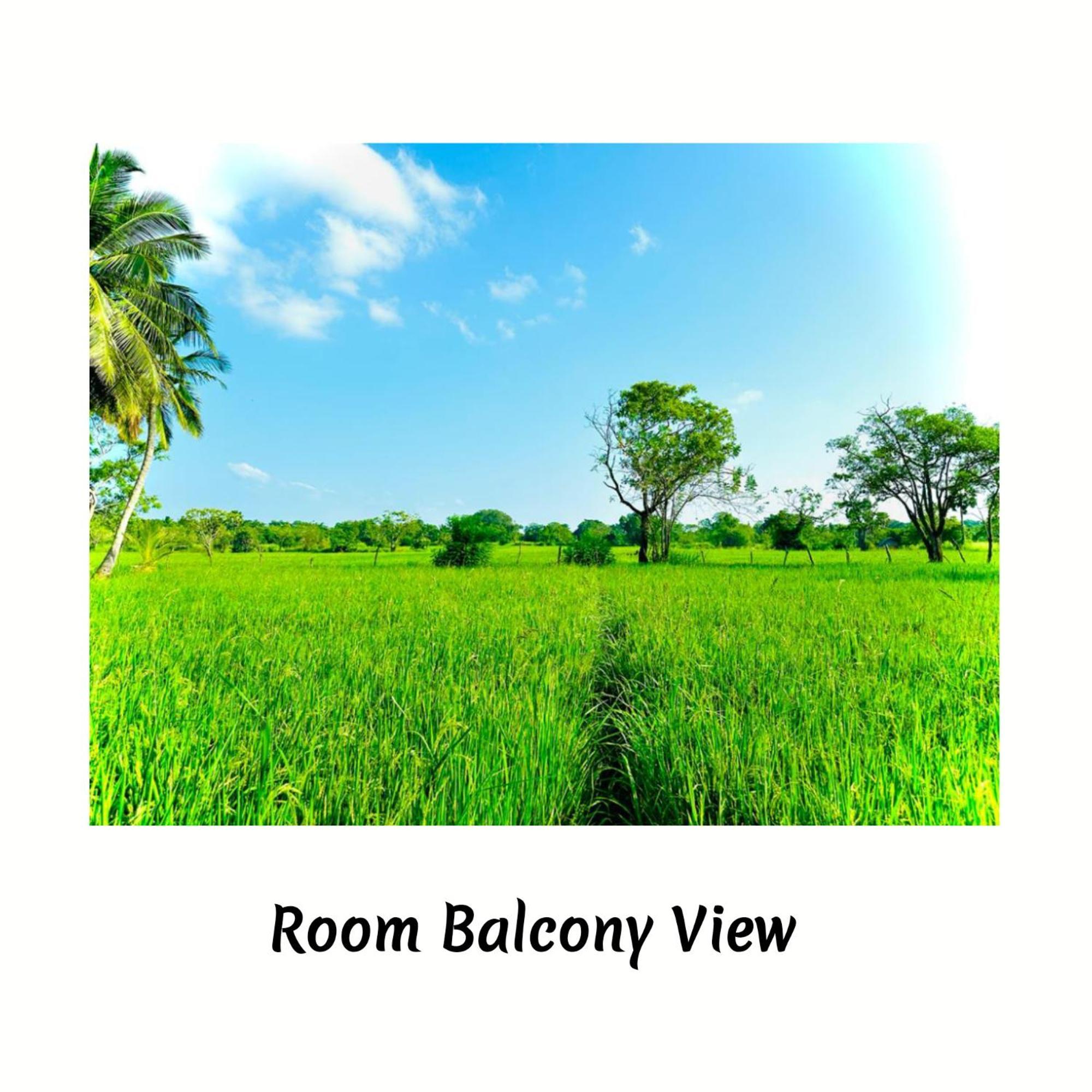 Green Sapphire Holiday Resort Wilpaththu Wilpattu Buitenkant foto