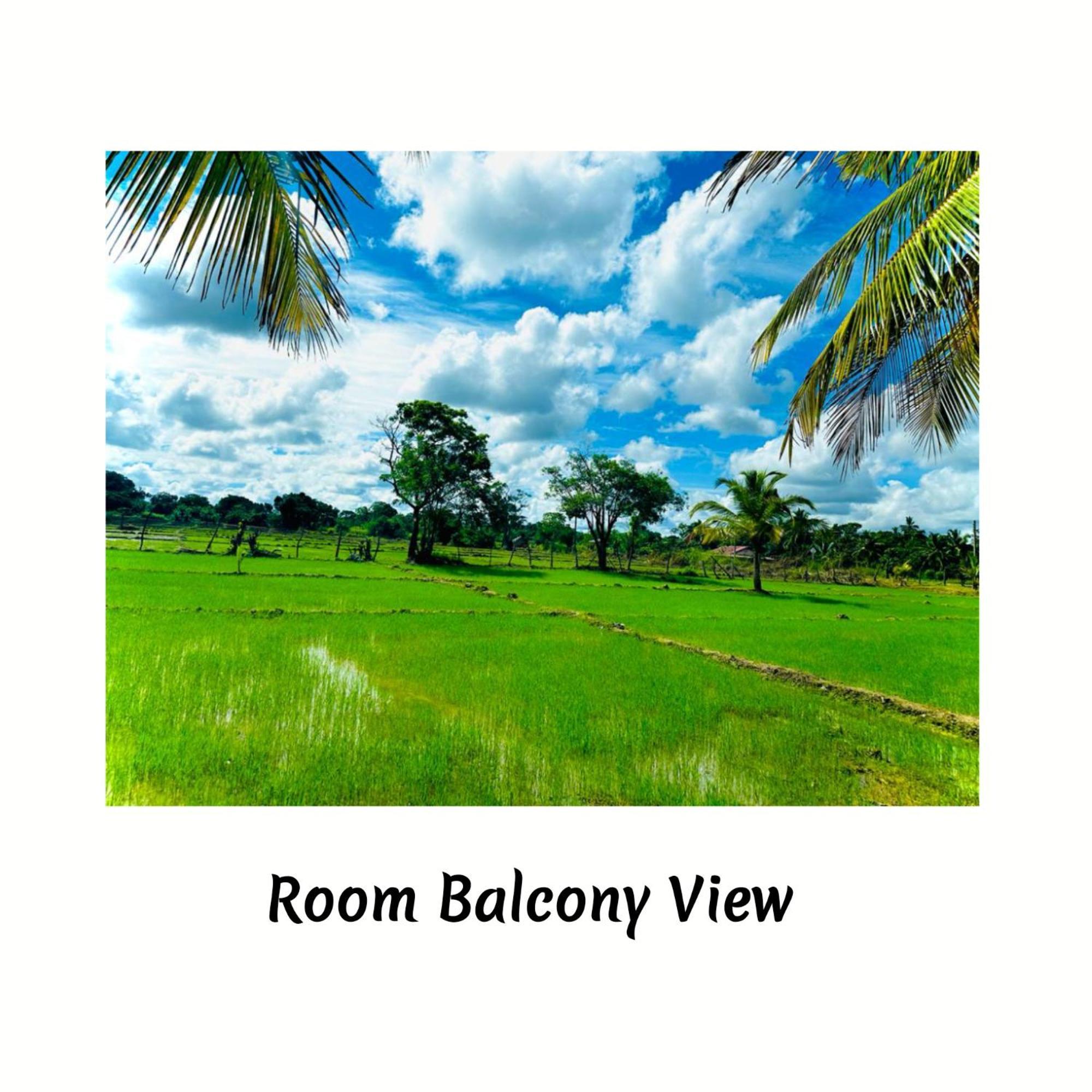 Green Sapphire Holiday Resort Wilpaththu Wilpattu Buitenkant foto