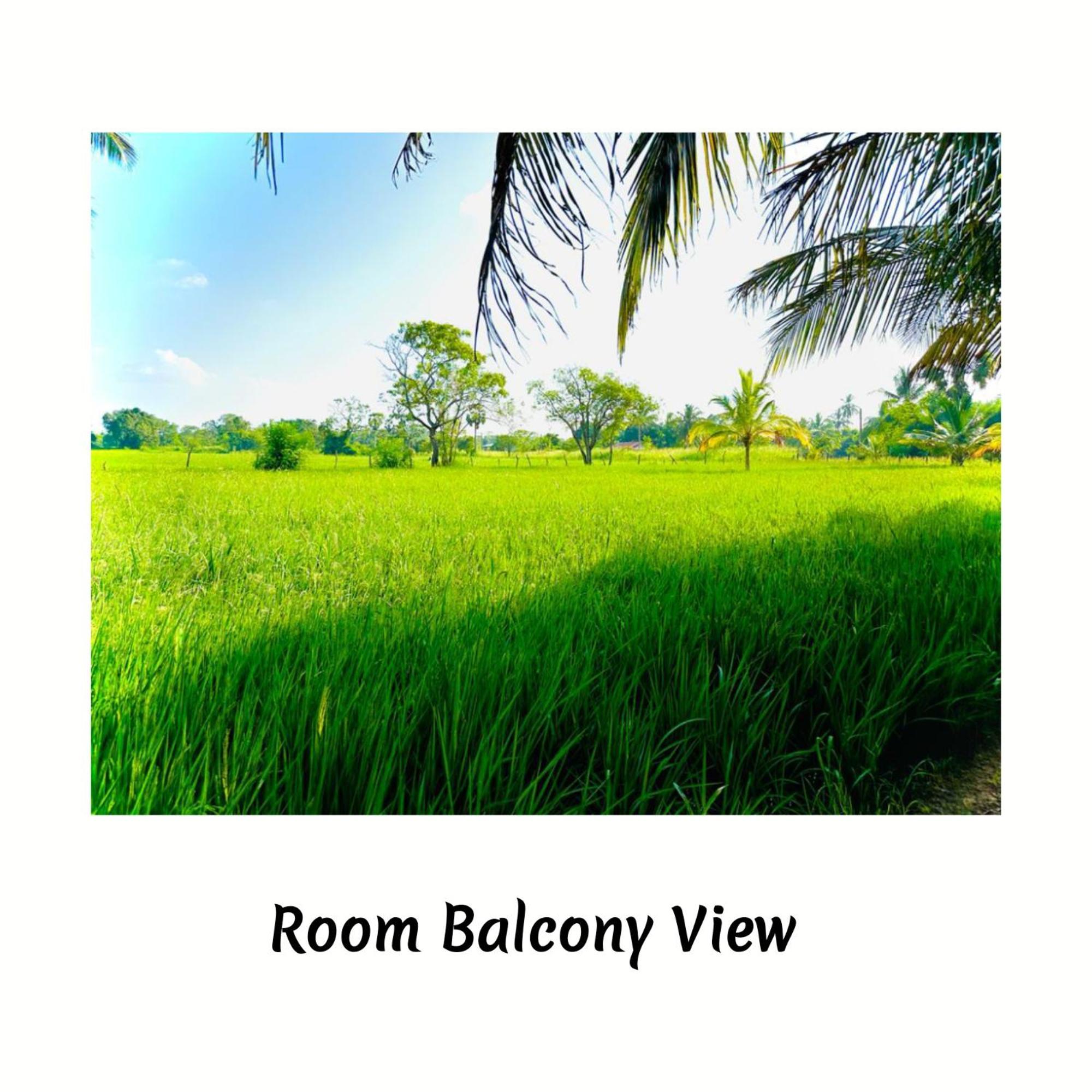 Green Sapphire Holiday Resort Wilpaththu Wilpattu Buitenkant foto