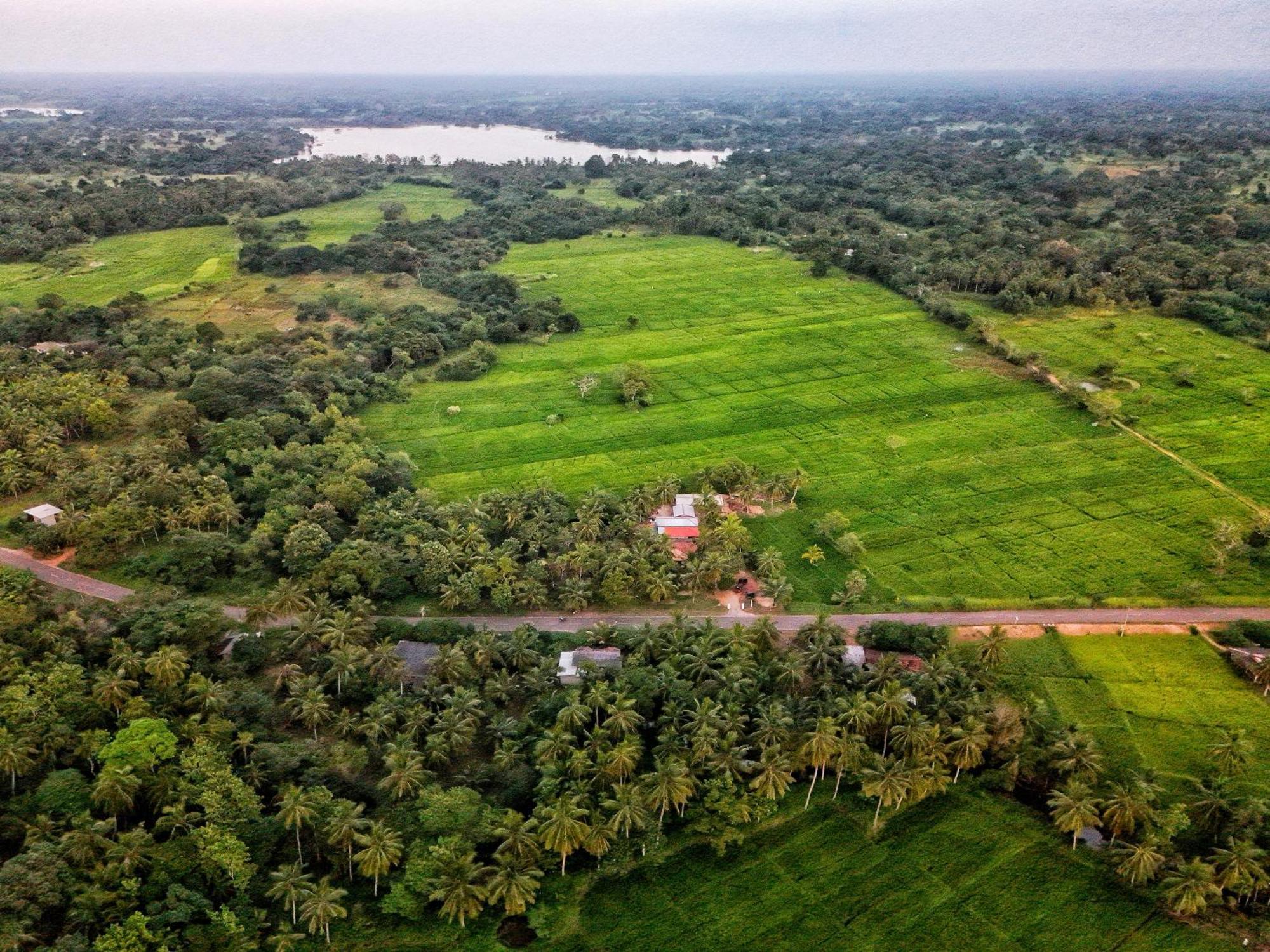 Green Sapphire Holiday Resort Wilpaththu Wilpattu Buitenkant foto