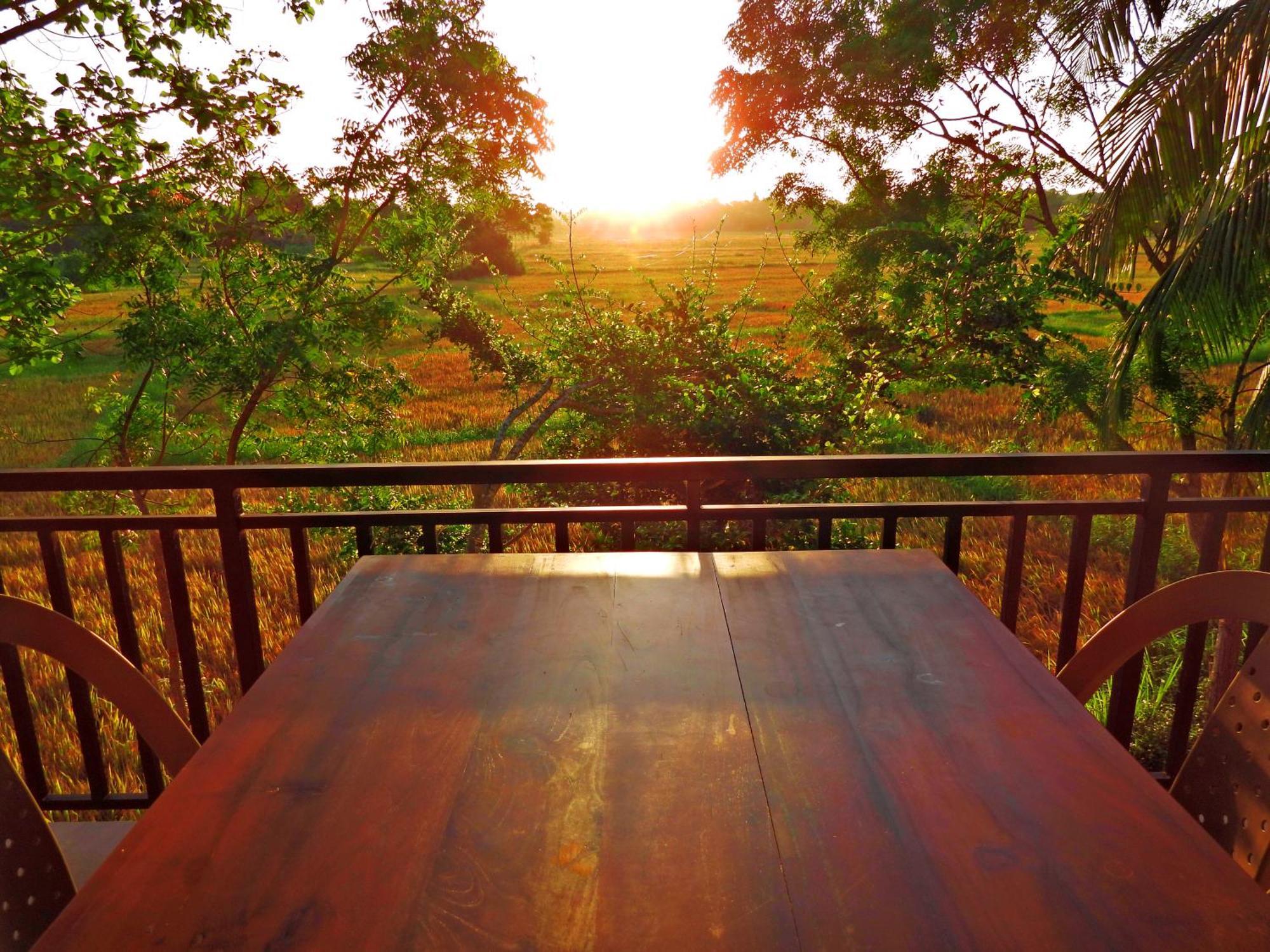 Green Sapphire Holiday Resort Wilpaththu Wilpattu Buitenkant foto